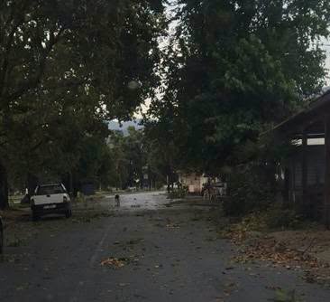 Δυνατό μπουρίνι έπληξε τα Δελέρια Τυρνάβου και τα παράλια Αγιάς- έπεσαν δέντρα (ΦΩΤΟ+video)
