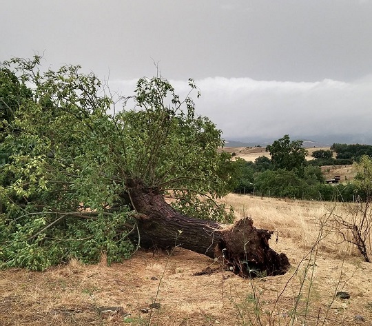 Φάρσαλα, Βόρεια Φθιώτιδα και Β. Εύβοια τα μεγαλύετρα ύψη βροχής και οι μεγάλες καταστροφές (ΦΩΤΟ)