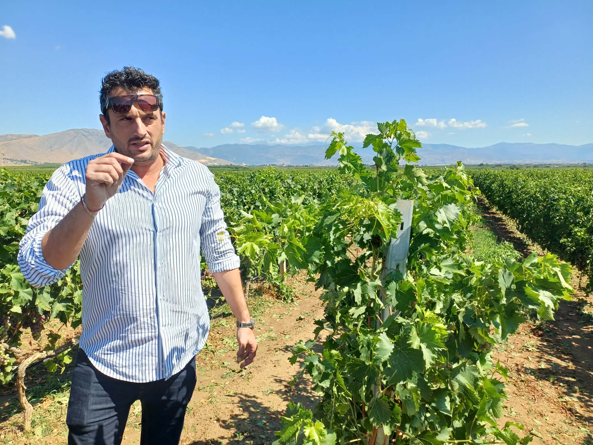 Τύρναβος: Πρωτοφανείς εικόνες καταστροφής μετά τη σφοδρή χαλαζόπτωση - Αυτοψία του ΕΛΓΑ (ΦΩΤΟ-ΒΙΝΤΕΟ)