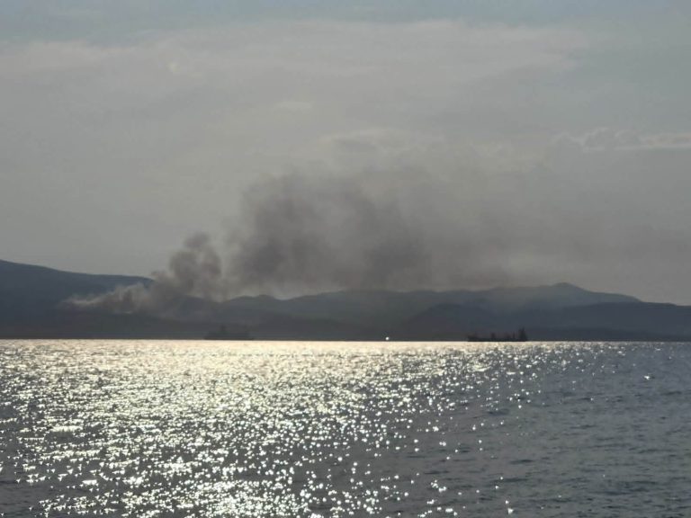 Υπό έλεγχο τα πύρινα μέτωπα στον Βόλο – Εξετάζεται το ενδεχόμενο εμπρησμού
