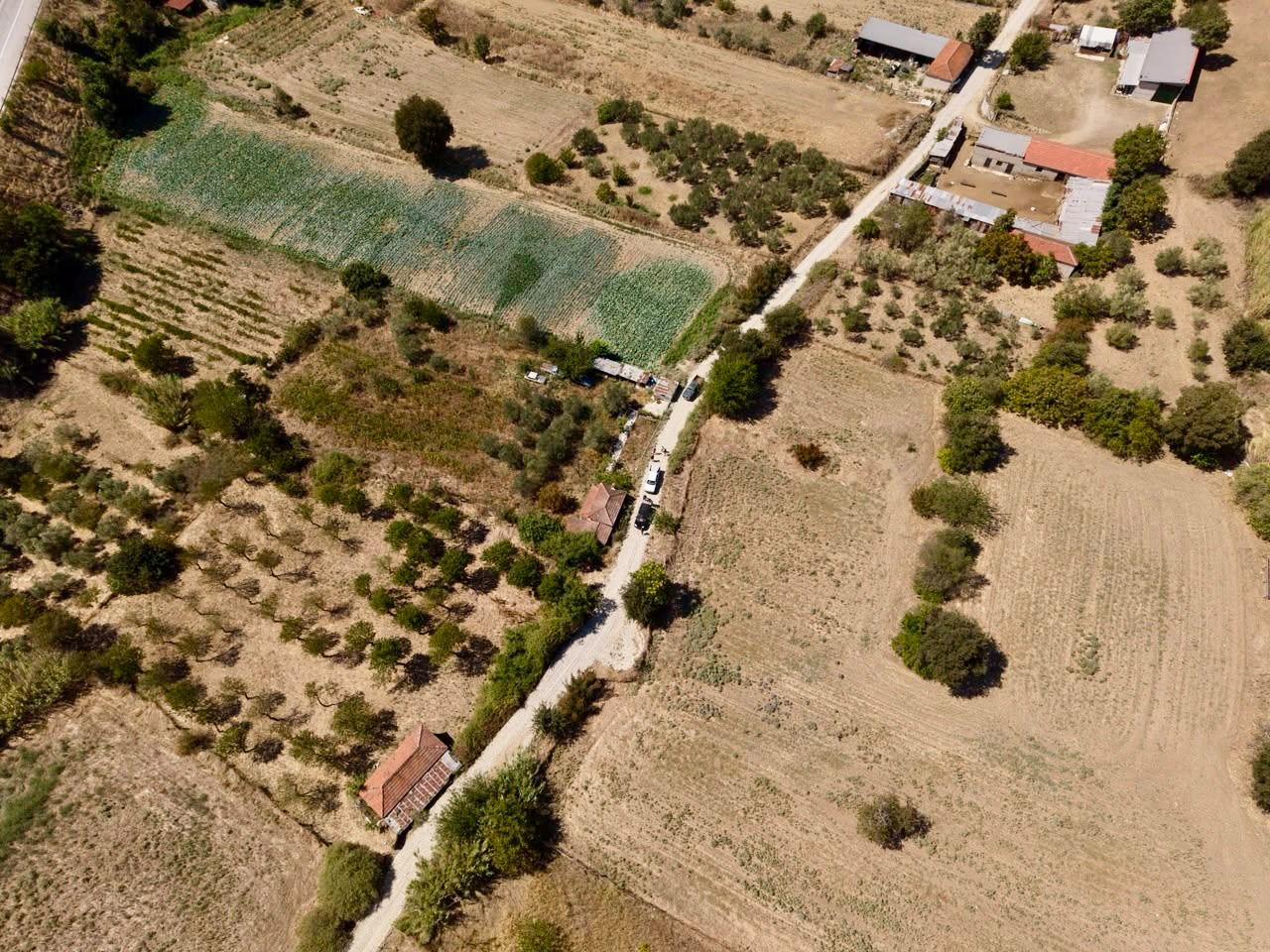 Αυτοψία της Μαρίας Γαλλιού  σε  έργα αγροτικής οδοποιίας στην Ελασσόνα