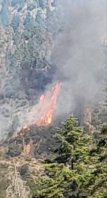 Φωτιά σε δάσος στο Καταφύλλι Καρδίτσας, επιχειρεί και ελικόπτερο