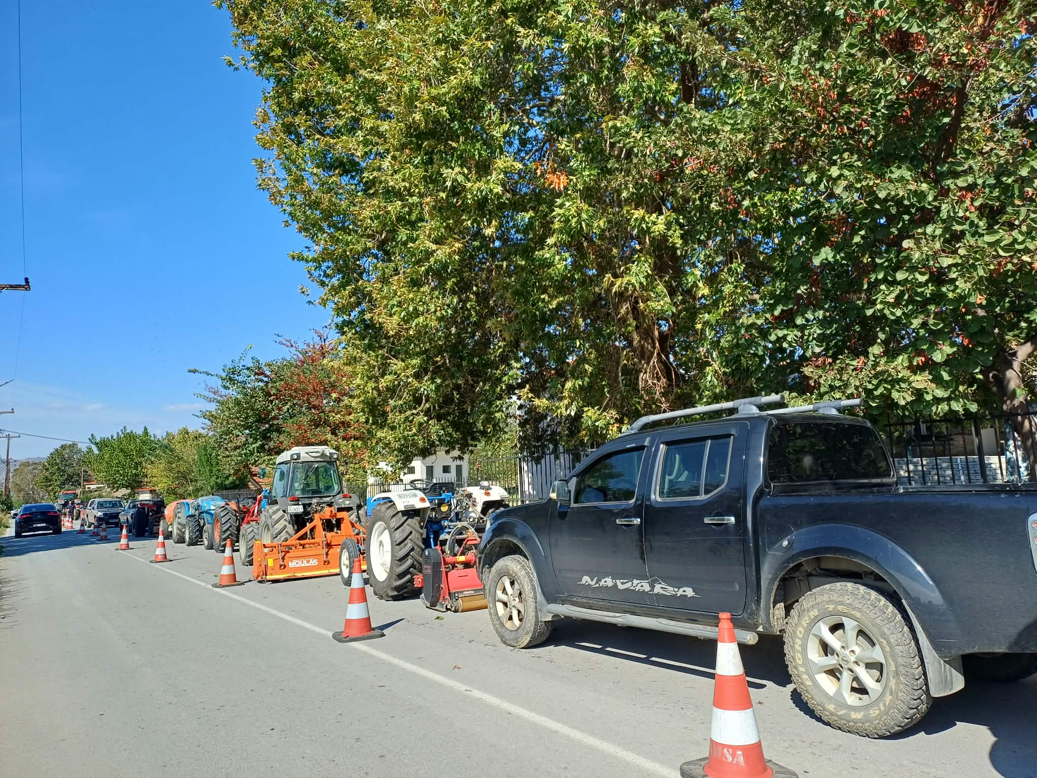 Ελαιοπαραγωγοί σε απόγνωση στο Πουρνάρι Συκουρίου: Χαμηλές τιμές, υψηλό κόστος και αποτυχία δακοκτονίας (ΦΩΤΟ+video)