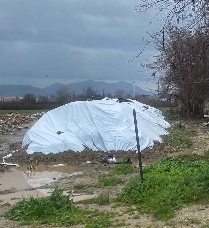Λάρισα: Κινδυνεύουν χιλιάδες τόνοι ζωοτροφών σε μονάδες όπου θανατώθηκαν τα ζώα λόγω ευλογιάς