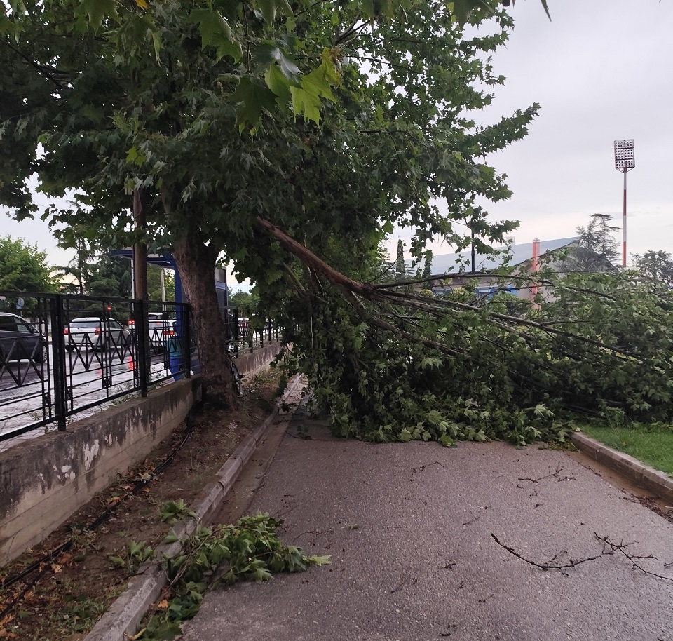 Βομβαρδισμένη πόλη η Λάρισα από το μπουρίνι: Φωτιά στην Καρδίτσης από κεραυνό, σπάσιμο δέντρων και ξήλωμα στεγών (ΦΩΤΟ)