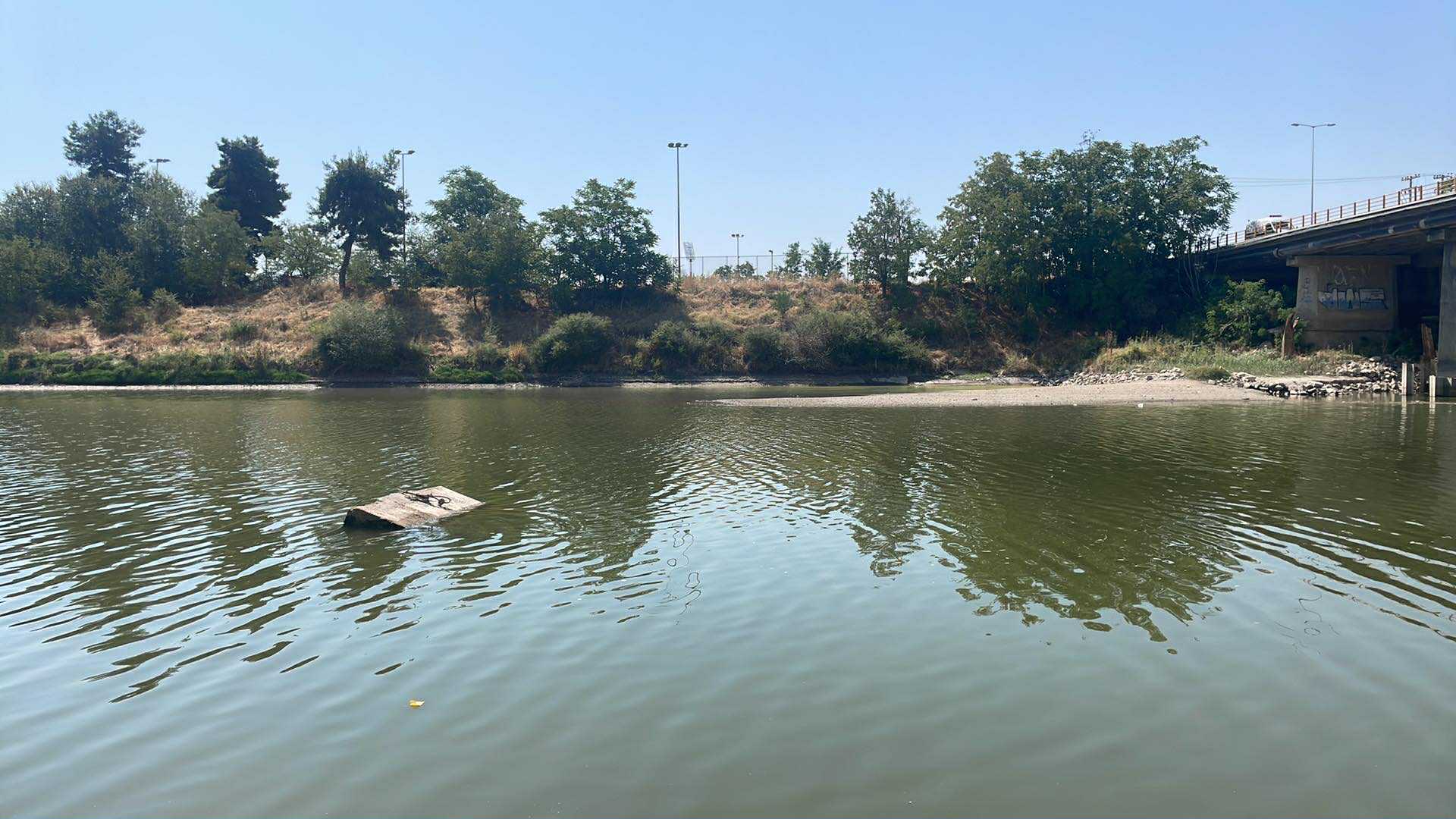 Μη αναστρέψιμη η ζημιά στα βαμβάκια  λόγω έλλειψης νερού - αποκαρδιωτικές εικόνες στον Πηνειό έξω από τη Λάρισα (ΦΩΤΟ)