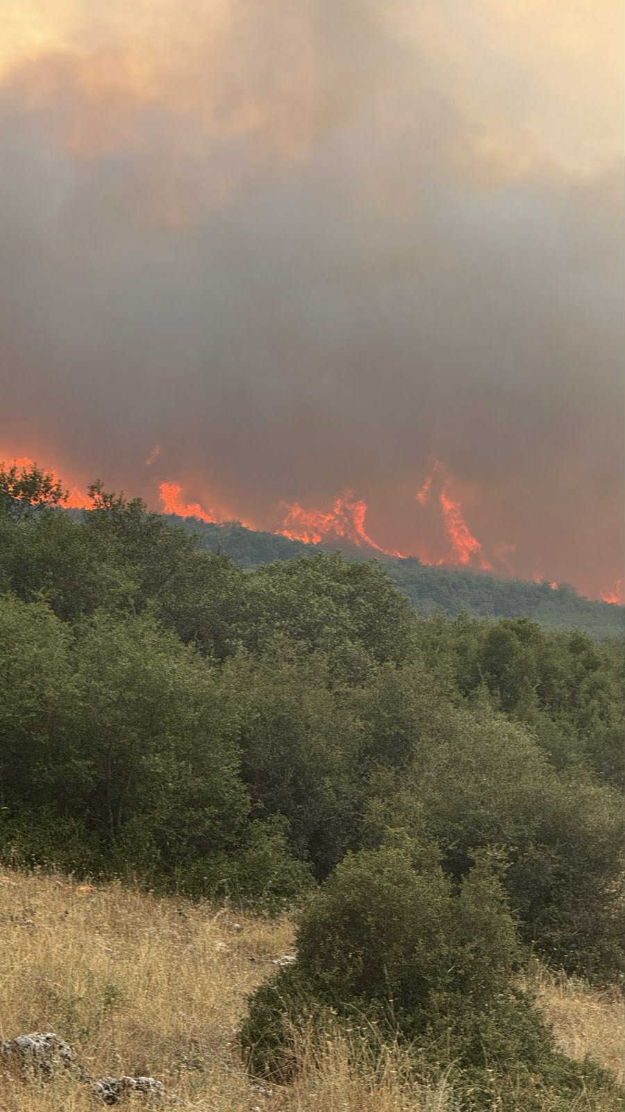 Καίει όλη νύχτα η πυρκαγιά που ξέσπασε το απόγευμα στο Δαμάσι (ΦΩΤΟ+video)
