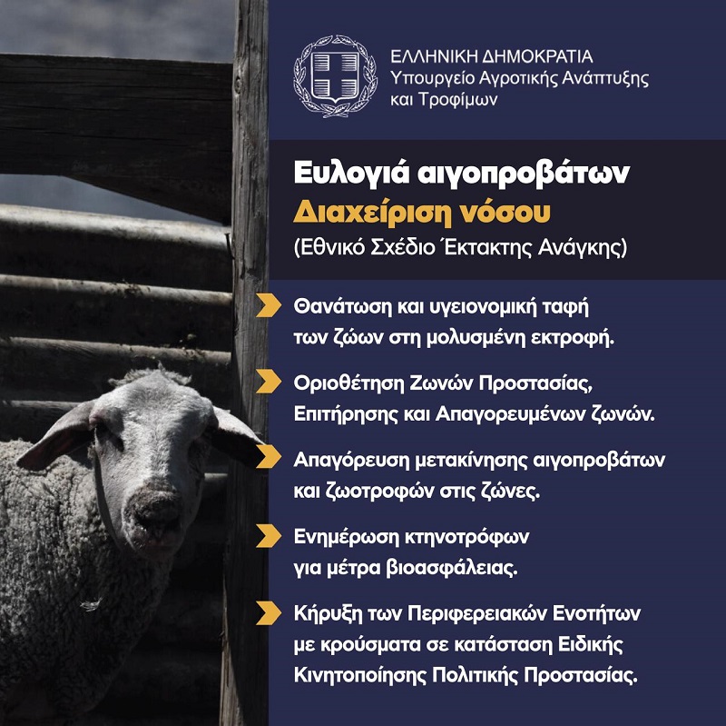 Ενημερωτικό για την ευλογιά των προβάτων - Τα μέτρα για τον περιορισμό και εκρίζωση της νόσου