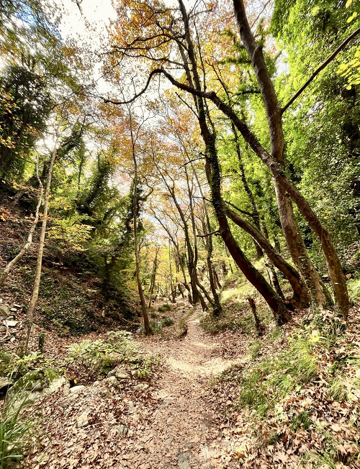 Πορταριά, Μηλιές, Ζαγορά, Μακρινίτσα: Φθινοπωρινή απόδραση στα χωριά του Πηλίου