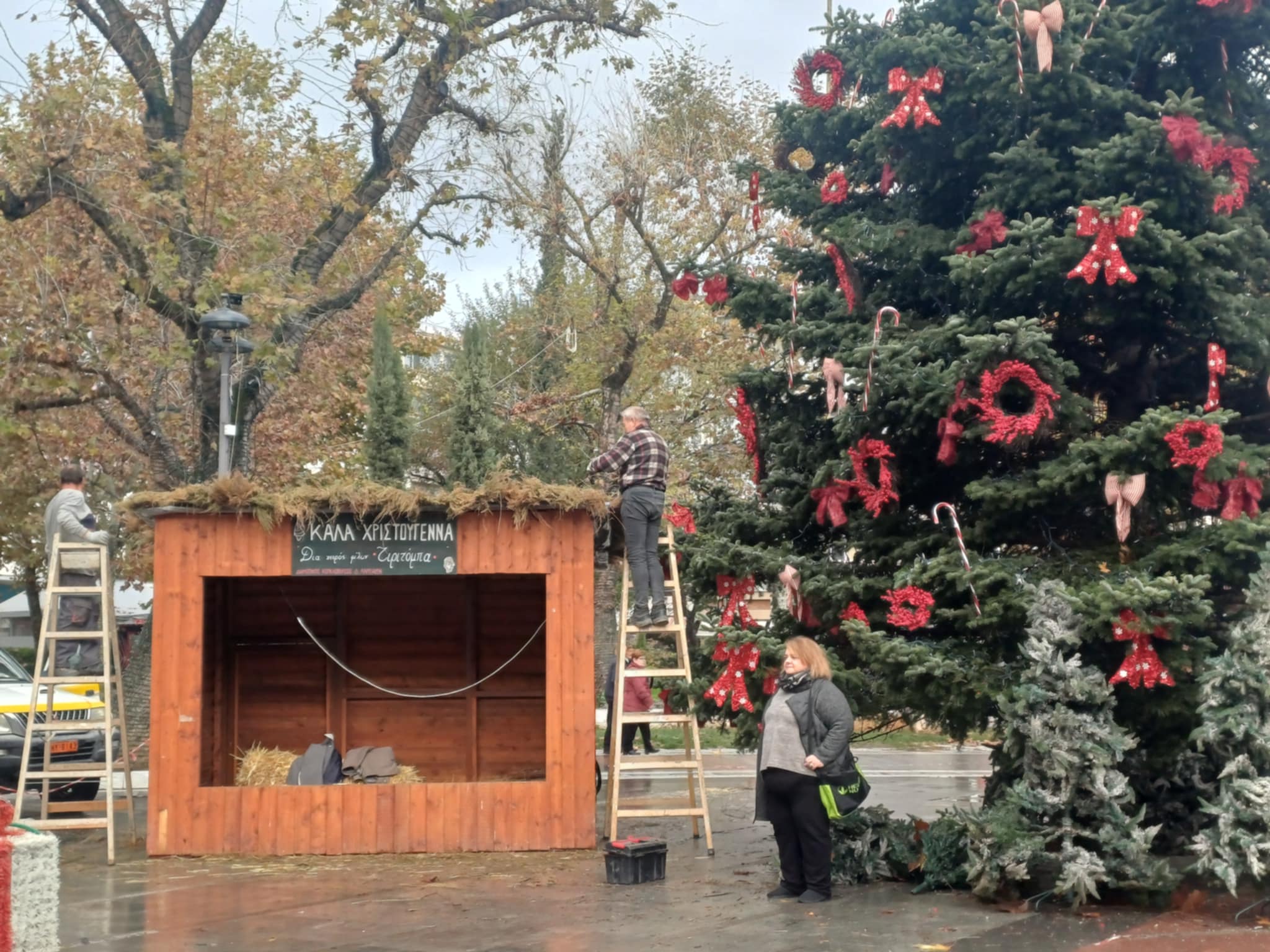 Ετοιμασίες στην κεντρική πλατεία της Λάρισας  για το άναμμα του δένδρου την Δευτέρα 1η Δεκεμβρίου (ΦΩΤΟ)