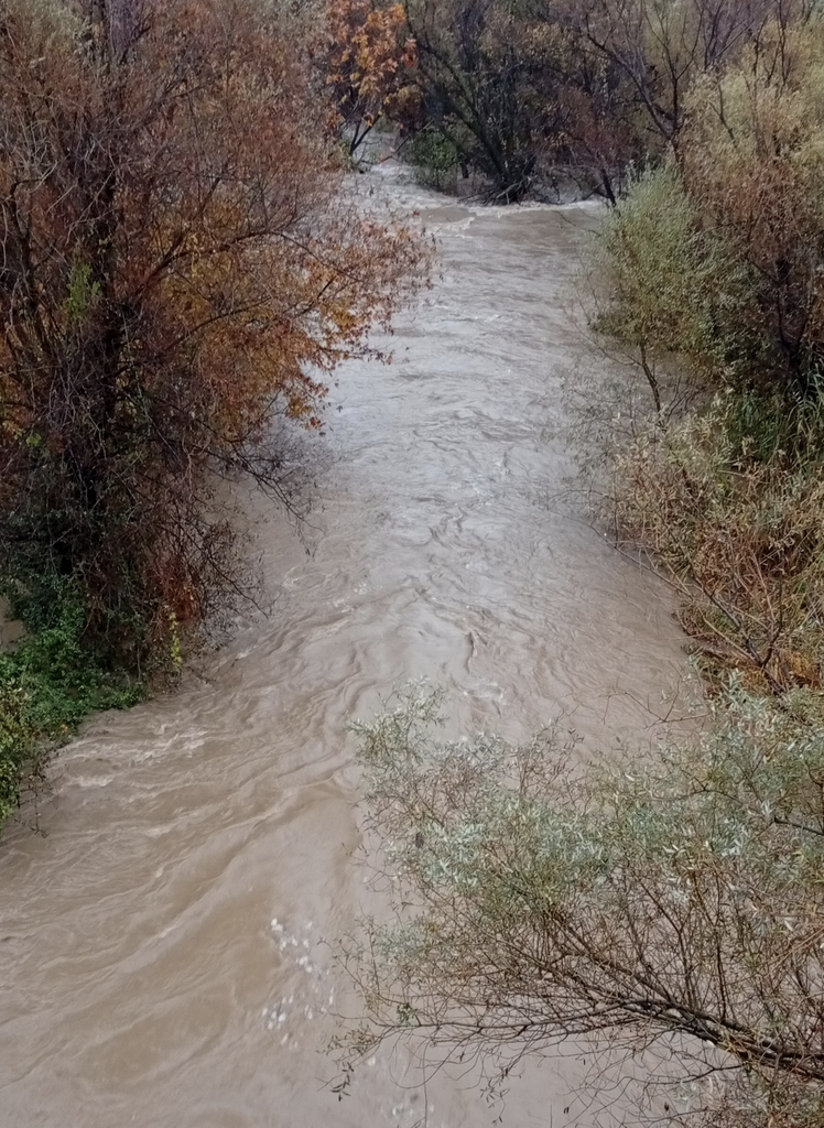 Προβλήματα στο Ν. Καρδίτσας από την κακοκαιρία Byron, σε επιφυλακή οι τοπικές αρχές