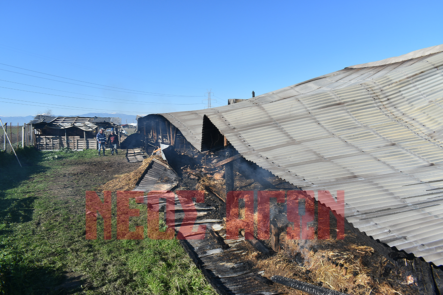 Στάχτη οι κόποι μιας ζωής για κτηνοτρόφο από τους Γοργοβίτες (ΦΩΤΟ - ΒΙΝΤΕΟ)