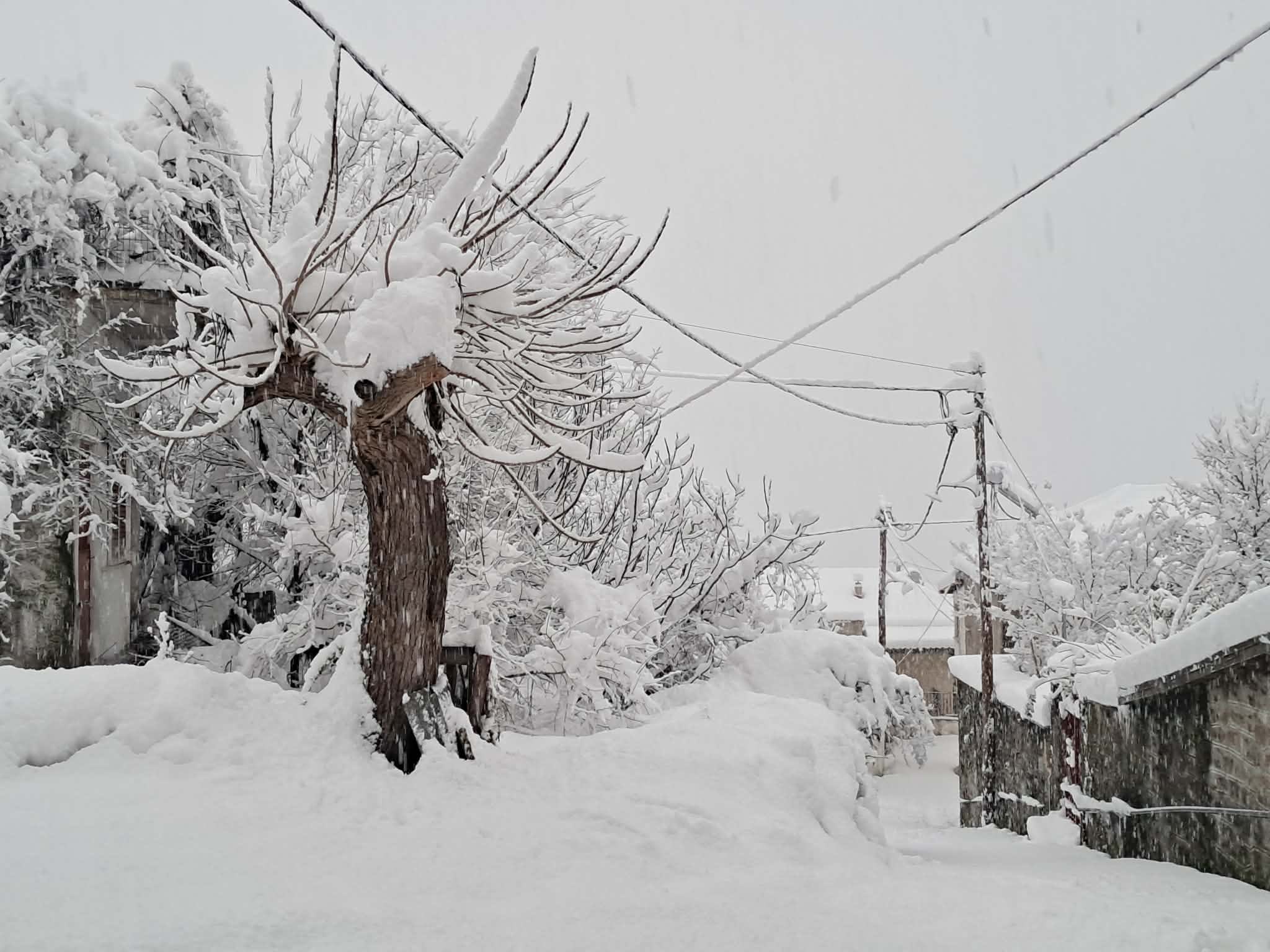ξεπέρασε το ένα μέτρο το χιόνι στα χωριά της Λίμνης Πλαστήρα-ανοιχτοί οι δρόμοι (ΦΩΤΟ+video)