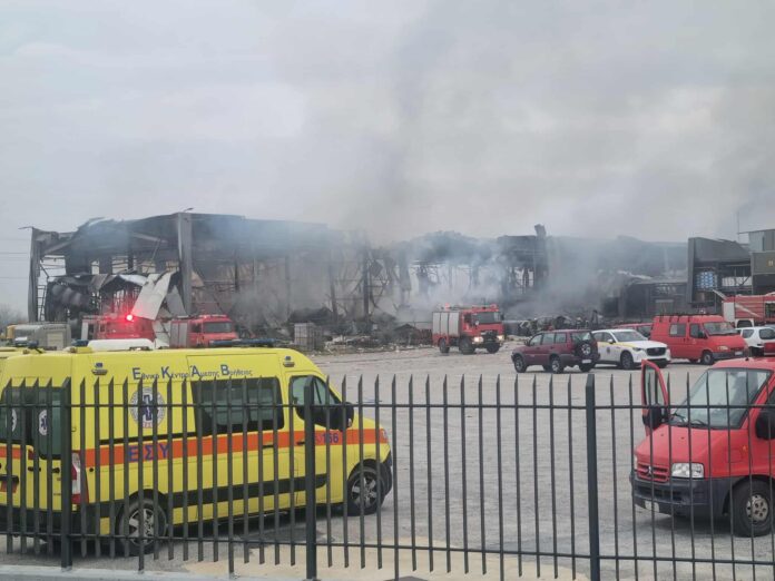 Βιολάντα: Στη βάρδια θα δούλευαν 50 άτομα, αλλά λόγω της χθεσινής κοπής της πίτας πήγαν μόλις 12