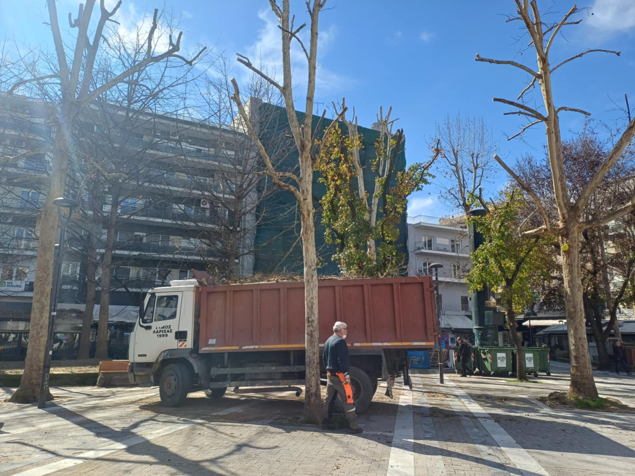Πιο πράσινη η Λάρισα – Ξεκίνησαν κλαδέματα και νέες φυτεύσεις στο κέντρο της πόλης (ΦΩΤΟ)
