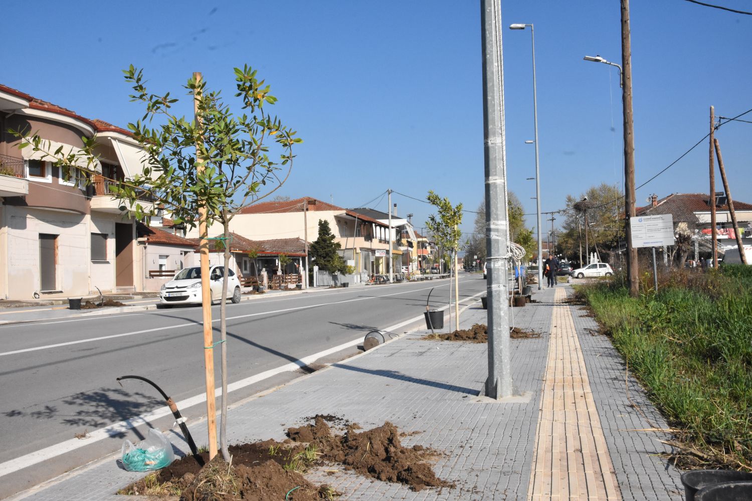 Δ. Λαρισαίων: Νέα δέντρα στη Φαλάνη - Μαμάκος: «Συνεχίζουμε τις παρεμβάσεις για ενίσχυση του πράσινου αποτυπώματος στην πόλη»