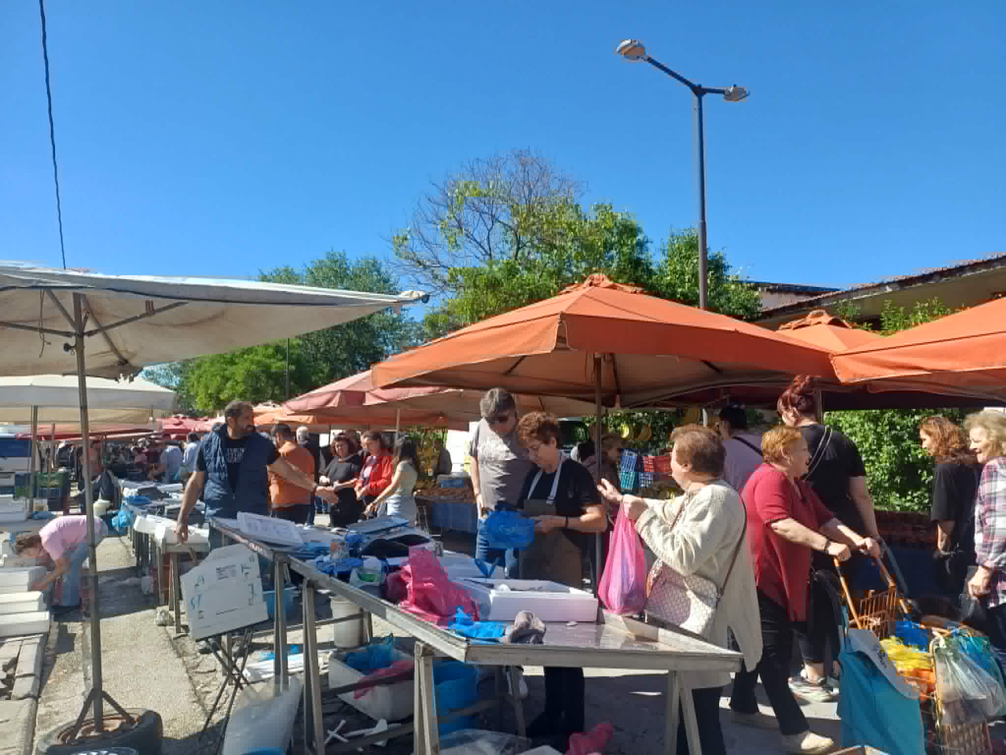 Η ακρίβεια στη Λαϊκή προκαλεί τη δυσαρέσκεια των καταναλωτών στη Λάρισα-  5 ευρώ το κιλό τα κεράσια (ΦΩΤΟ)