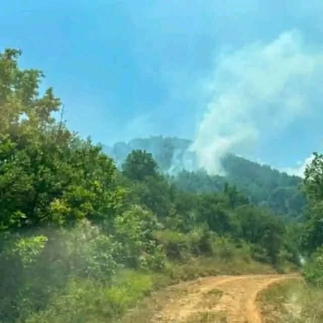 Υπό έλεγχο η φωτιά στα Κανάλια Μουζακίου στην Καρδίτσα