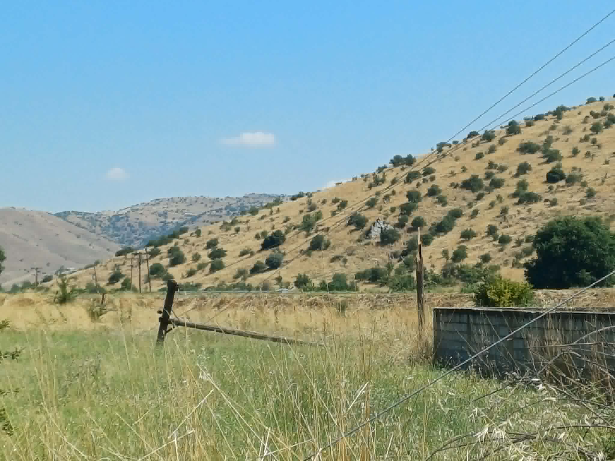 Μετρά τις πληγές του από το μπουρίνι ο Δήμος Φαρκαδόνας: έπεσαν δέντρα, στύλοι της ΔΕΗ, ξηλώθηκαν σκεπές (ΦΩΤΟ)