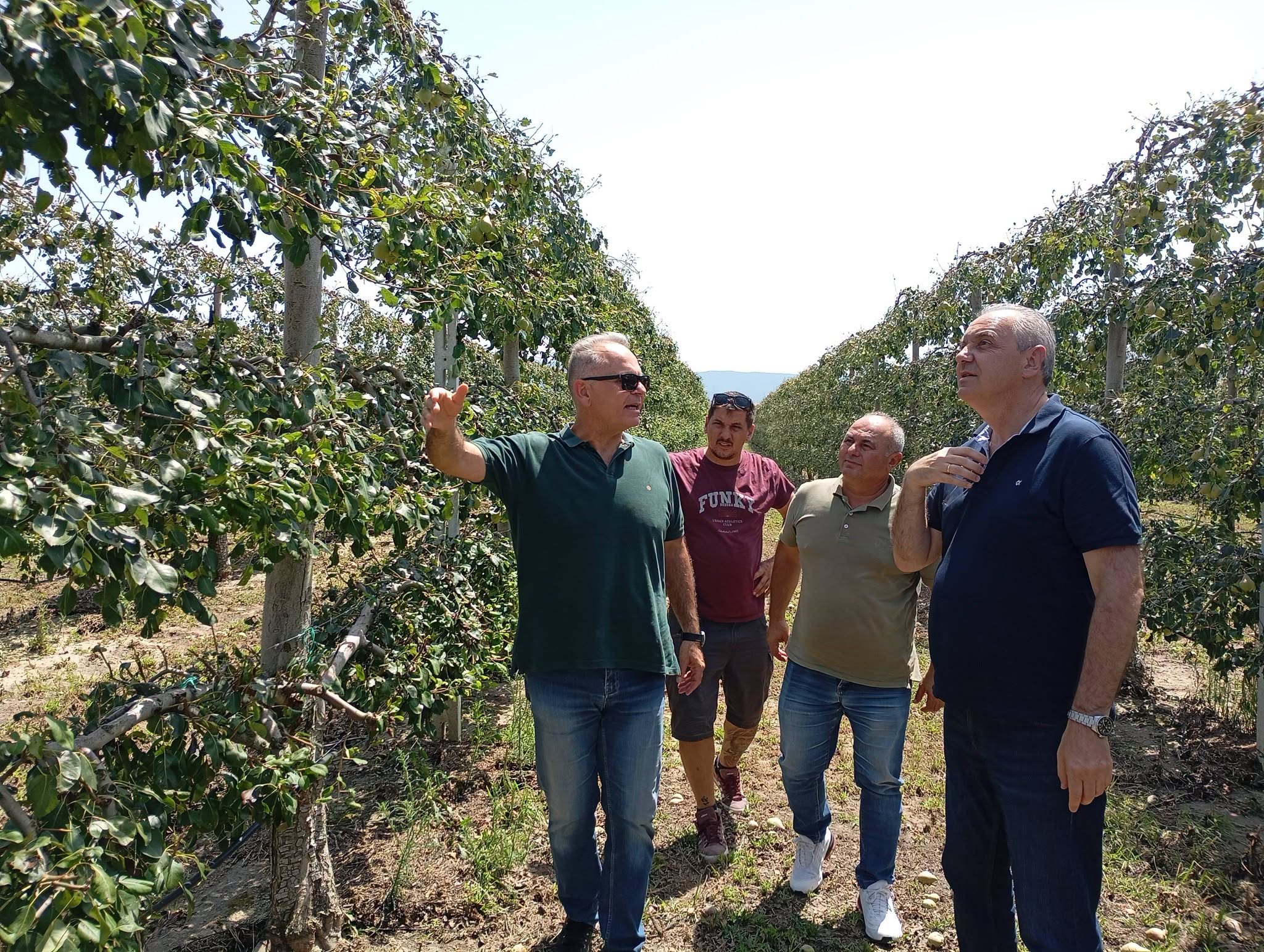 Συνεχίζονται οι αυτοψίες στα χαλαζόπληκτα -συνεργεία του ΕΛΑ σε Ευαγγελισμό Ελασσόνας και Μεσοράχη (ΦΩΤΟ)