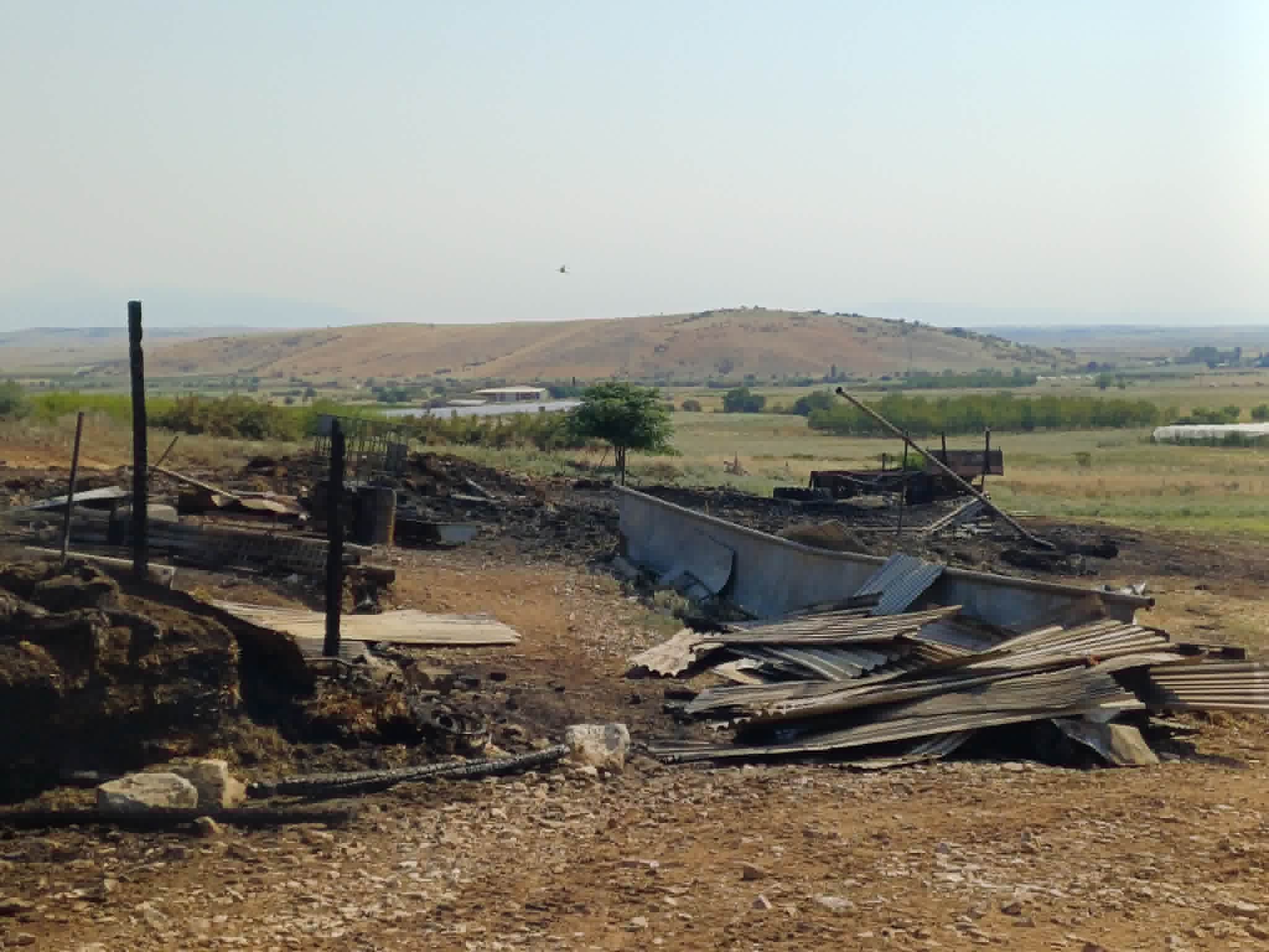 Στάχτη 70 αμνοερίφια, ζωοτροφές και το μαντρί κτηνοτρόφου στο Λουτρό Λάρισας- σκληρές εικόνες