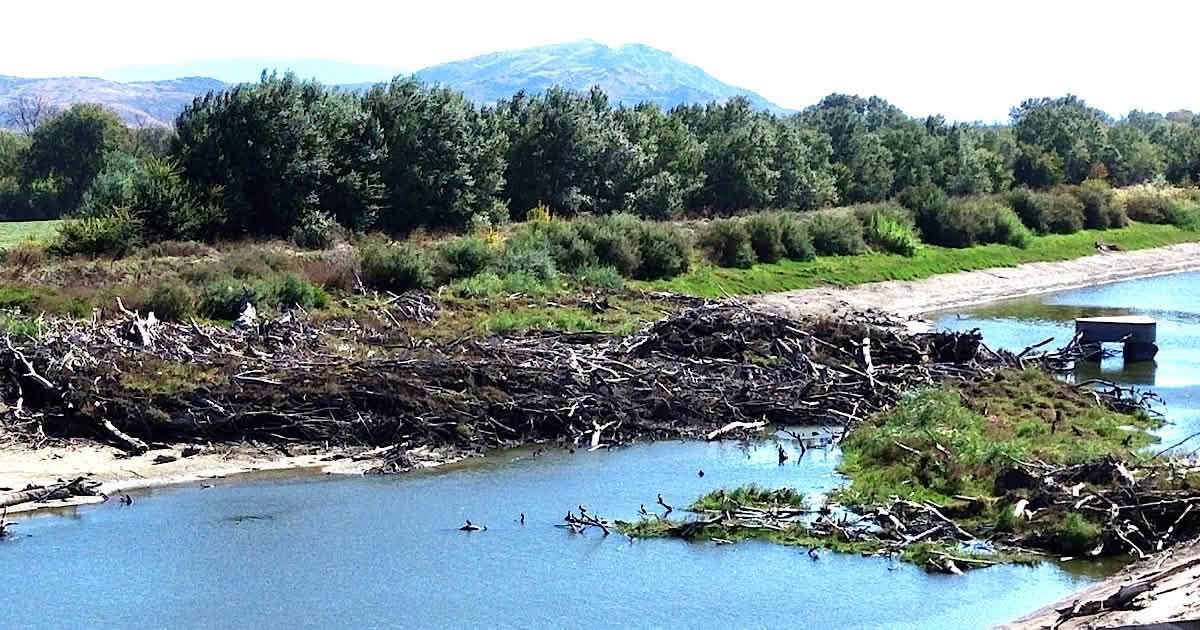 Κραυγή αγωνίας για το φράγμα Γυρτώνης: «Καθαρίστε το πριν είναι αργά!»