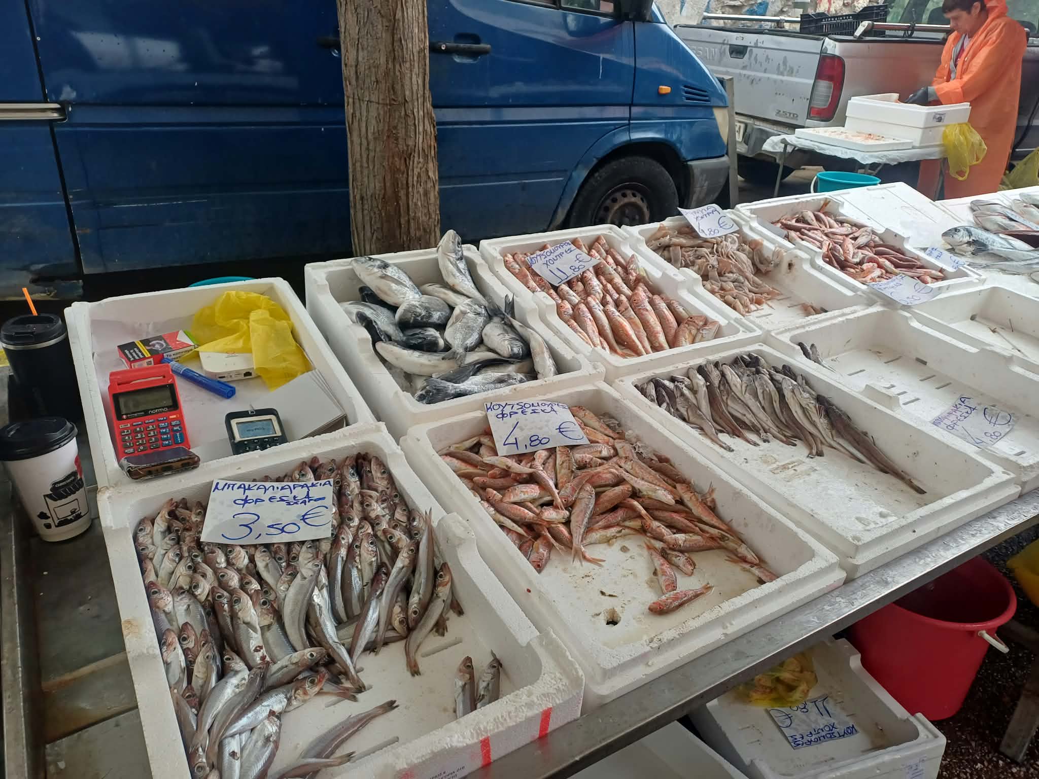 Στο πλευρό των αλιέων οι ιχθυοπώλες των λαϊκών αγορών Λάρισας (ΦΩΤΟ)
