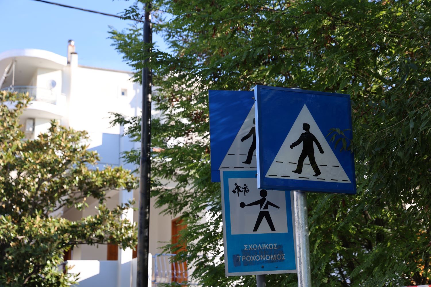 Δήμος Λαρισαίων: Νέα εποχή για την ασφαλή μετακίνηση των πεζών - «Έξυπνες» διαβάσεις σε 25 σημεία-κλειδιά γύρω από σχολεία