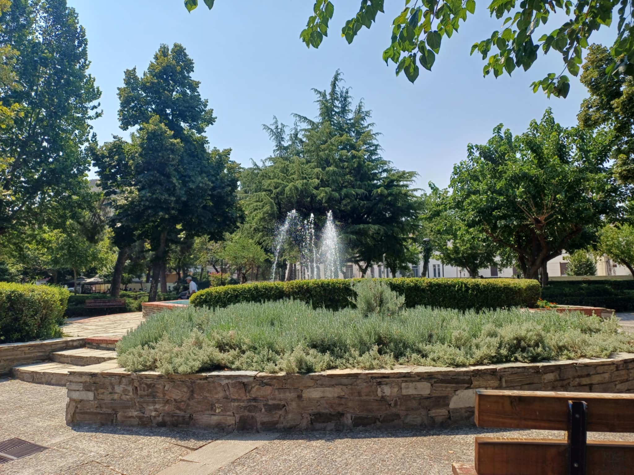 Λάρισα: Αγανάκτηση και οργή από τις μαζικές δηλητηριάσεις ζώων στον Άγιο Αντώνιο (ΦΩΤΟ-ΒΙΝΤΕΟ)