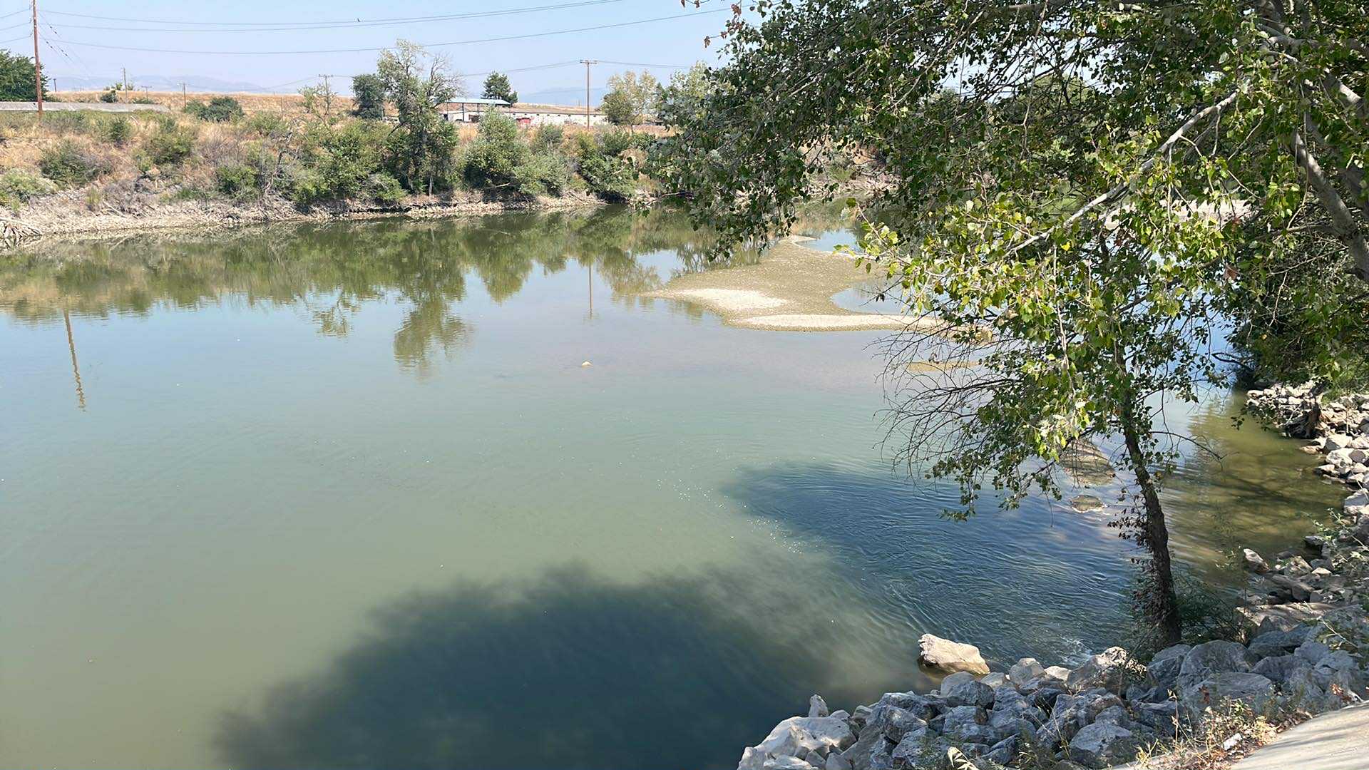 Μη αναστρέψιμη η ζημιά στα βαμβάκια  λόγω έλλειψης νερού - αποκαρδιωτικές εικόνες στον Πηνειό έξω από τη Λάρισα (ΦΩΤΟ)