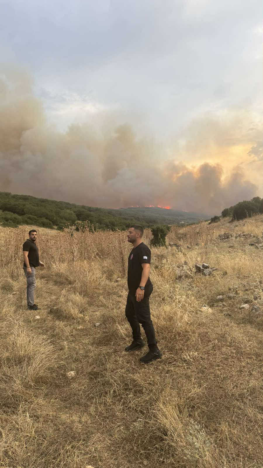 Καίει όλη νύχτα η πυρκαγιά που ξέσπασε το απόγευμα στο Δαμάσι (ΦΩΤΟ+video)