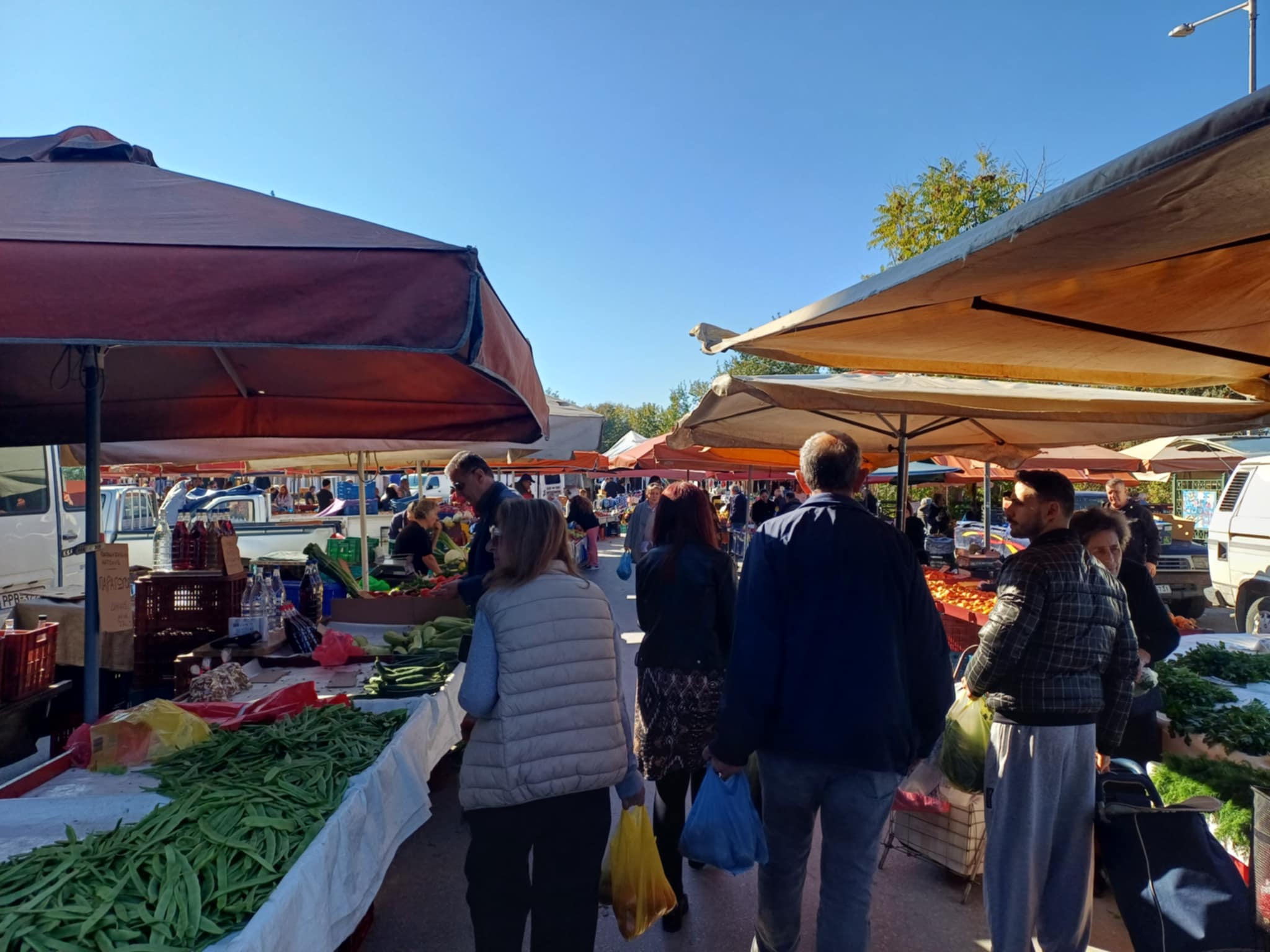 Το Ταξίδι της Τροφής: Λαρισαίοι μαθητές στη λαϊκή αγορά της Τετάρτης για καλό σκοπό (ΦΩΤΟ)