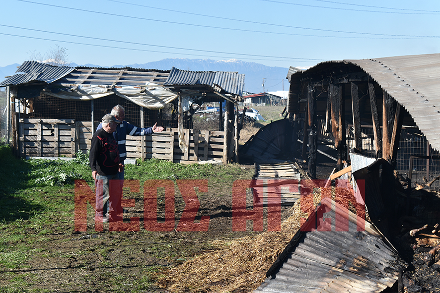 Στάχτη οι κόποι μιας ζωής για κτηνοτρόφο από τους Γοργοβίτες (ΦΩΤΟ - ΒΙΝΤΕΟ)