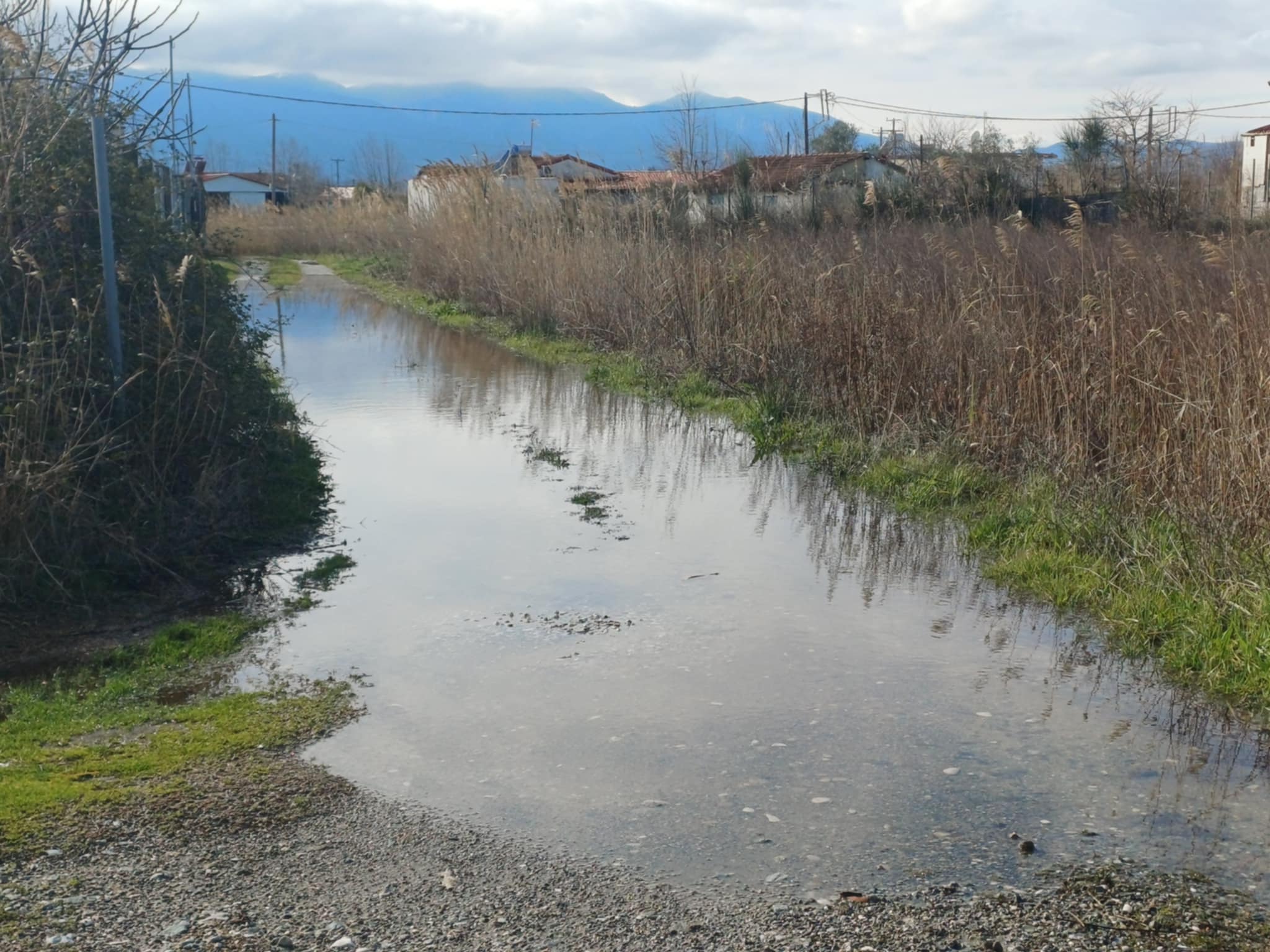 Θ΄-αλασσα και στεριά έγινα ένα στα παράλια του Δήμου Τεμπών από τη χθεσινή καταιγίδα (ΦΩΤΟ+video)