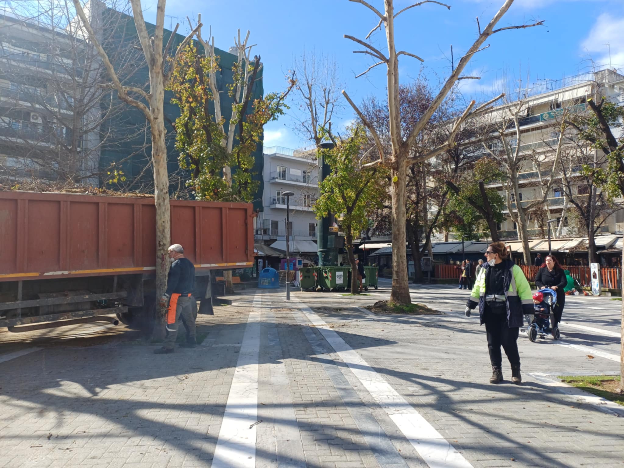 Πιο πράσινη η Λάρισα – Ξεκίνησαν κλαδέματα και νέες φυτεύσεις στο κέντρο της πόλης (ΦΩΤΟ)