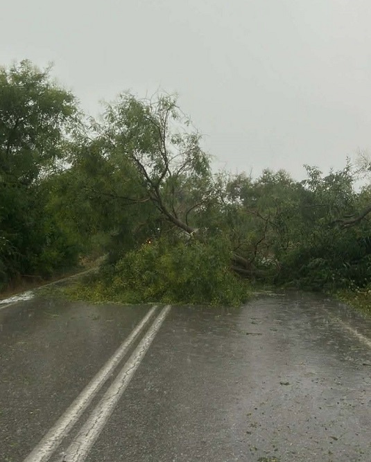 Τεράστις ζημιές σε καλλιέργειες και στην Ποταμιά Ελασσόνας- χαλάζι και σφοδρός άνεμος θέρισαν την περιοχή (ΦΩΤΟ)