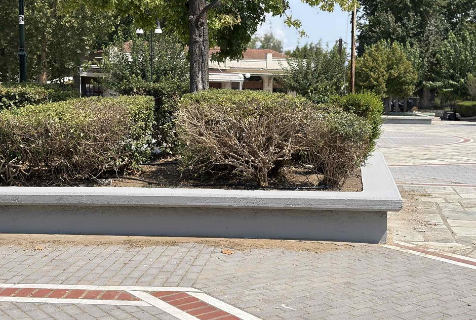 Άμεσες παρεμβάσεις ασφάλειας και συντήρησης στο Άλσος Αγίου Γεωργίου στον Αμπελώνα