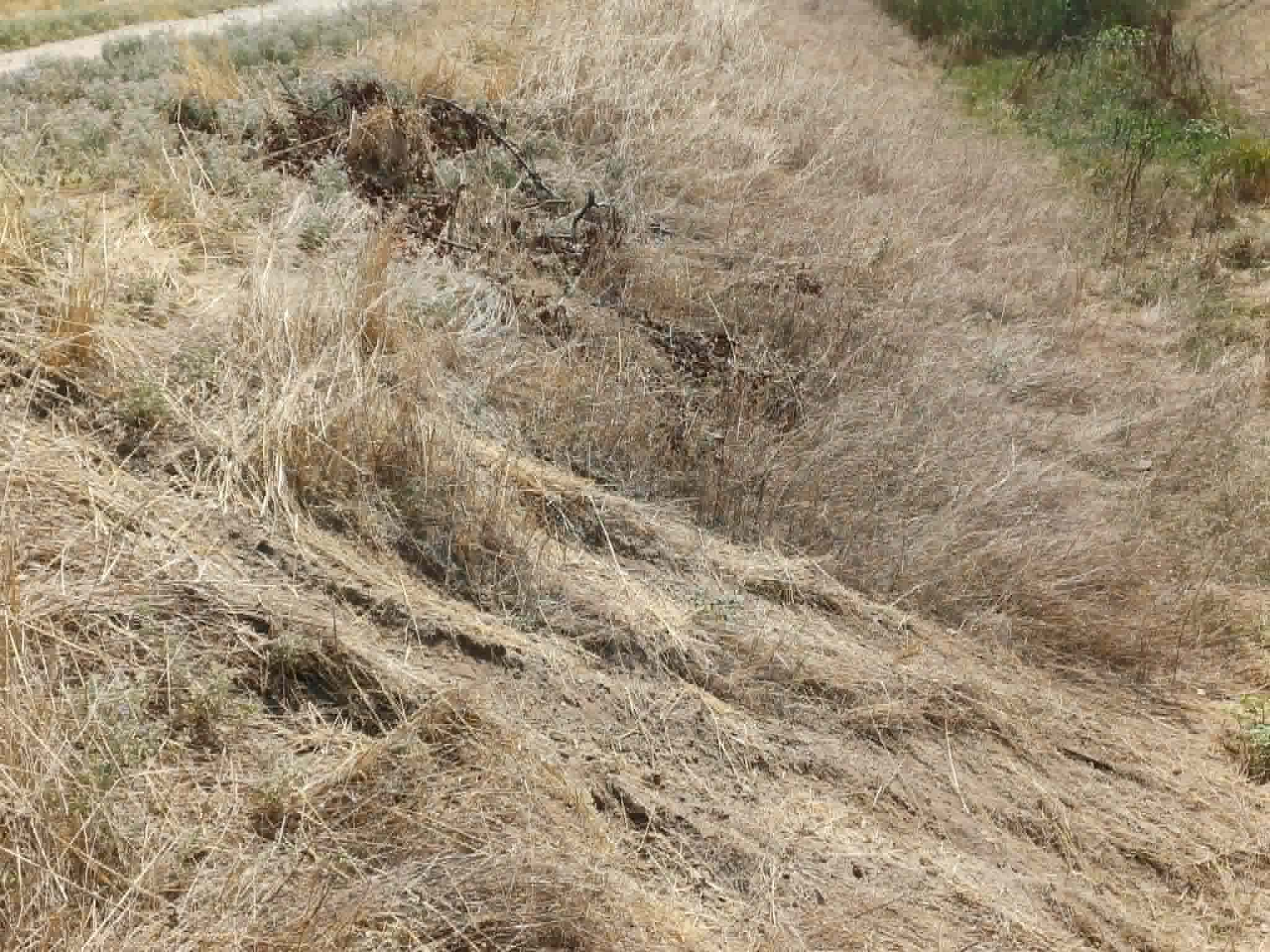 Τραγικός επίλογος για την 70χρονη που είχε εξαφανιστεί στη Λάρισα- βρέθηκε νεκρή σε αρδευτικό κανάλι (ΦΩTO)
