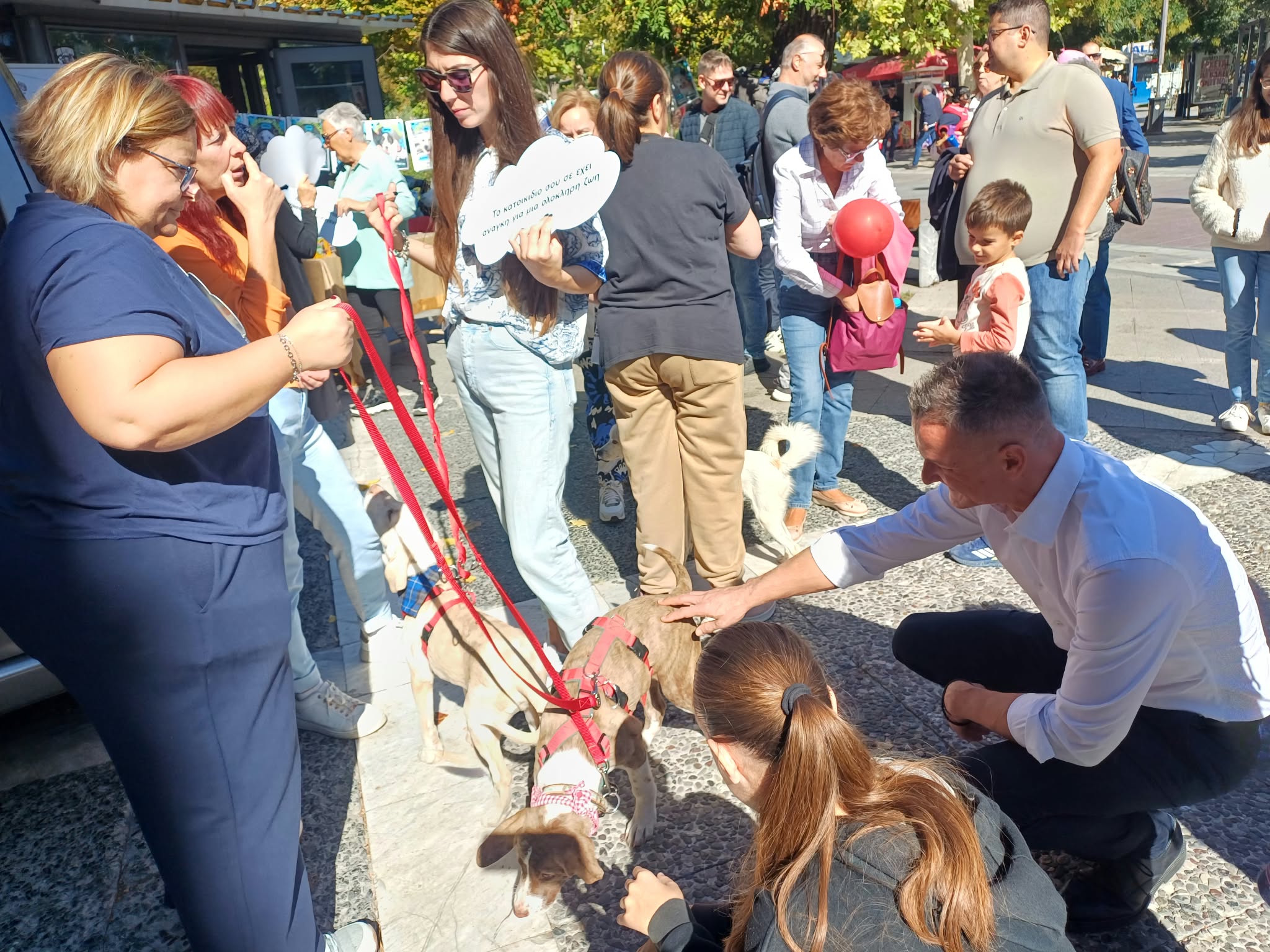 Δράση για την Παγκόσμια Ημέρα των Ζώων: Στο επίκεντρο τα αδέσποτα και η λειτουργία του Δημοτικού Καταφυγίου στη Λάρισα
