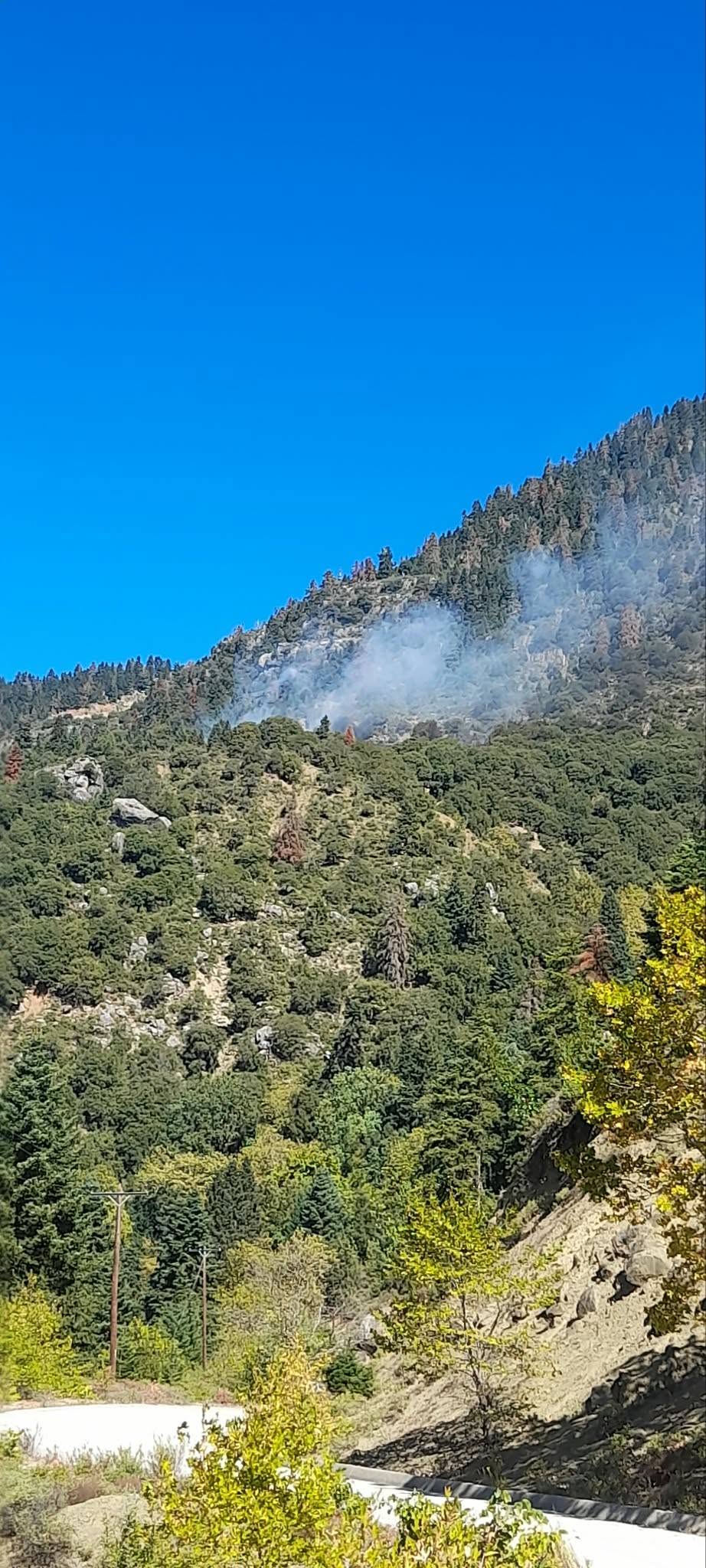 Φωτιά σε δάσος στο Καταφύλλι Καρδίτσας, επιχειρεί και ελικόπτερο