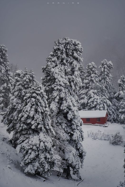 Χριστουγεννιάτικη απόδραση στη χιονισμένη  Λίμνη Πλαστήρα (ΦΩΤΟ)