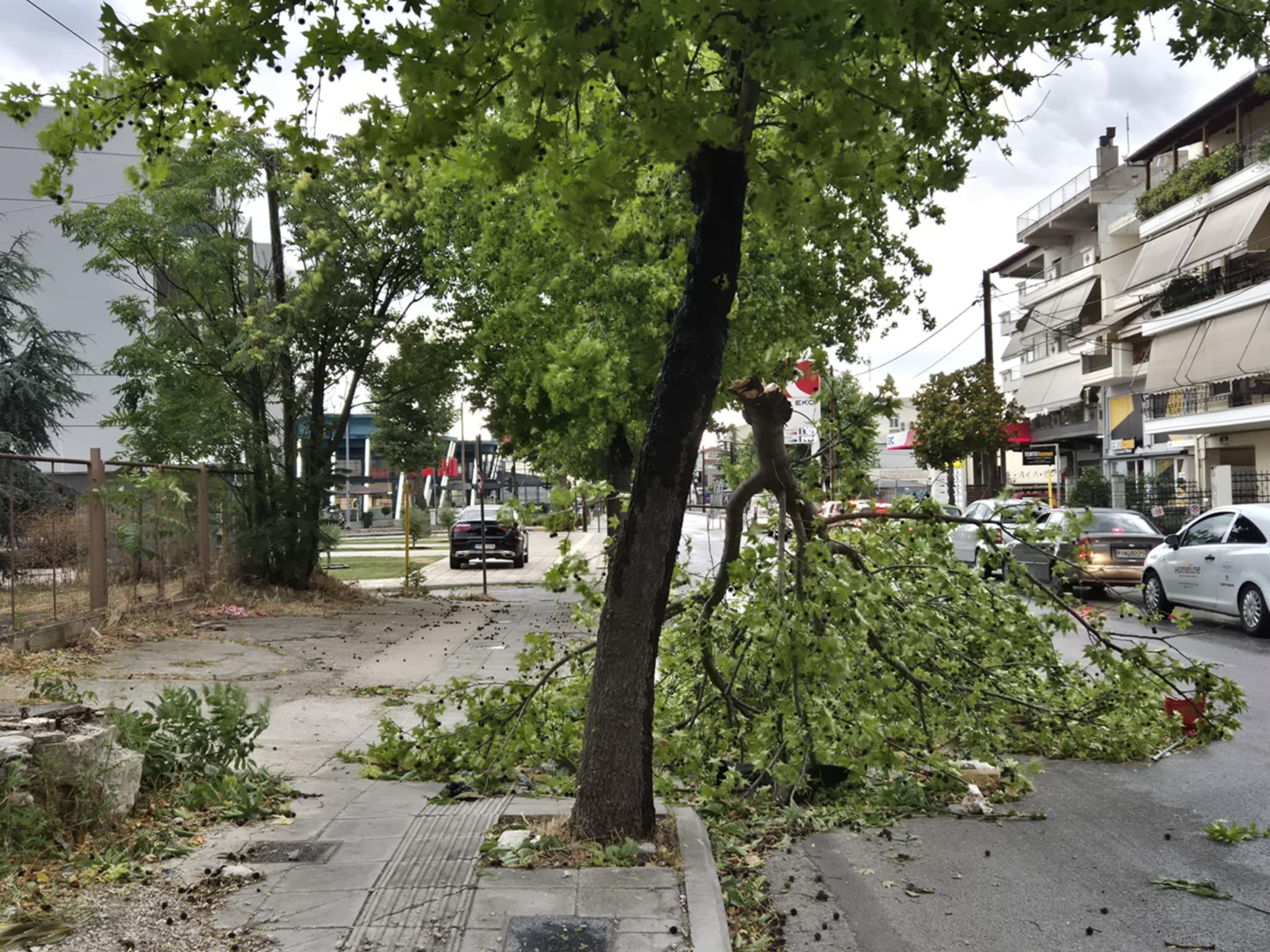 Βομβαρδισμένη πόλη η Λάρισα από το μπουρίνι: Φωτιά στην Καρδίτσης από κεραυνό, σπάσιμο δέντρων και ξήλωμα στεγών (ΦΩΤΟ)