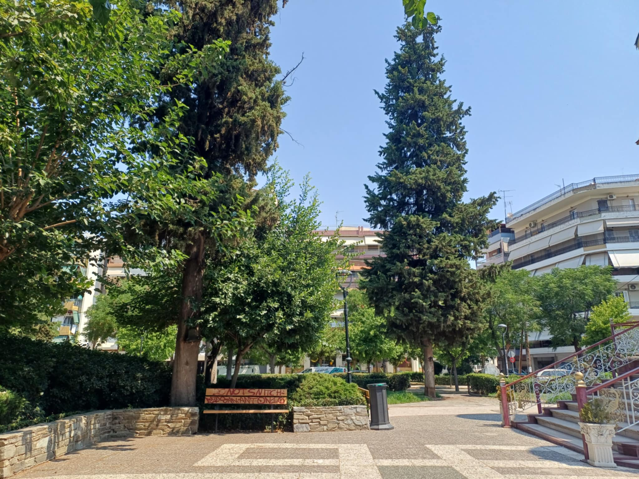 Λάρισα: Αγανάκτηση και οργή από τις μαζικές δηλητηριάσεις ζώων στον Άγιο Αντώνιο (ΦΩΤΟ-ΒΙΝΤΕΟ)