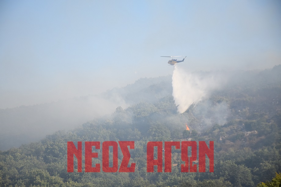 Μεγάλη φωτιά σε εξελιξη στο Καλλίθηρο Καρδίτσας-επιχειρούν 40 πθυροσβέστες και 6 αερροσκαφη (ΦΩΤΟ+video)