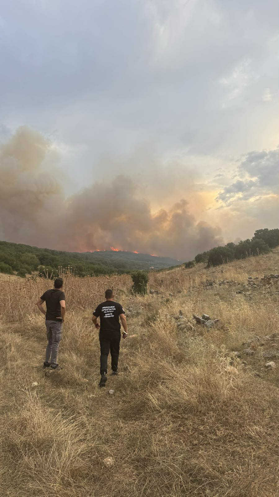 Καίει όλη νύχτα η πυρκαγιά που ξέσπασε το απόγευμα στο Δαμάσι (ΦΩΤΟ+video)