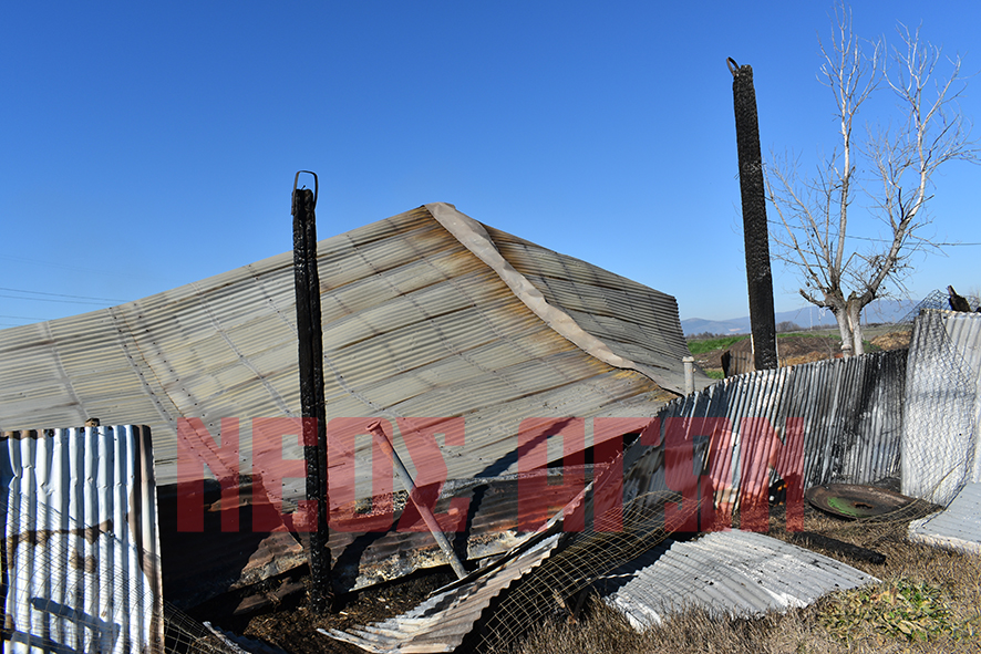 Στάχτη οι κόποι μιας ζωής για κτηνοτρόφο από τους Γοργοβίτες (ΦΩΤΟ - ΒΙΝΤΕΟ)