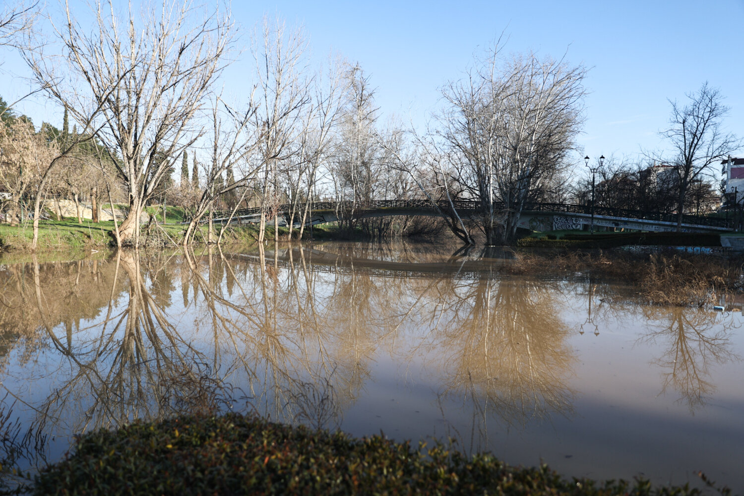 Επιχείρηση απομάκρυνσης φερτών στον Πηνειό στη γέφυρα Γιάννουλης- διεφυγε τον κίνδυνο η Λάρισα (ΦΩΤΟ+video)