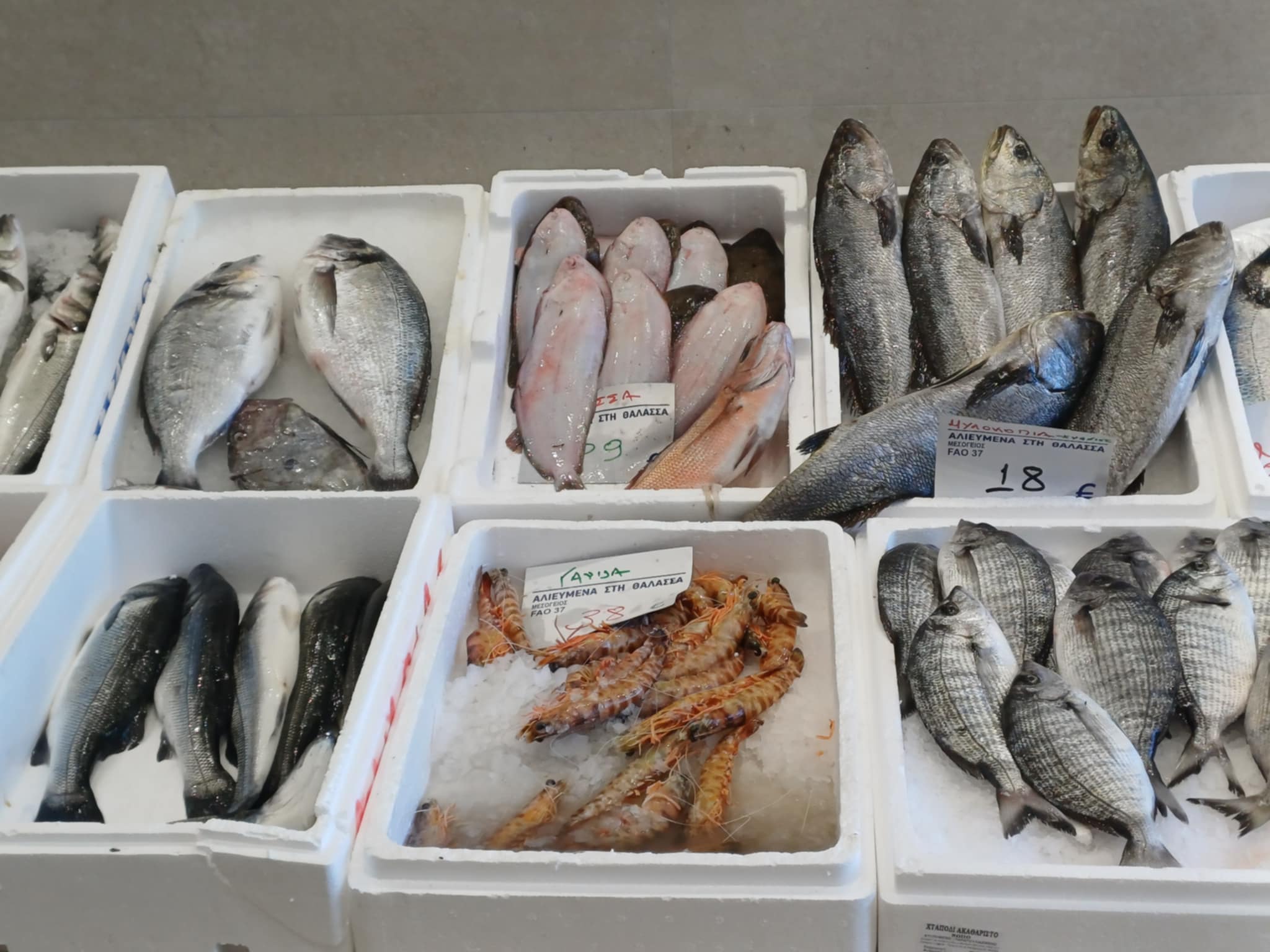 Αλμυρές οι τιμές στα θαλασινά στη Λάρισα, αλλά... ουρές στα ιχθυοπωλεία (ΦΩΤΟ)