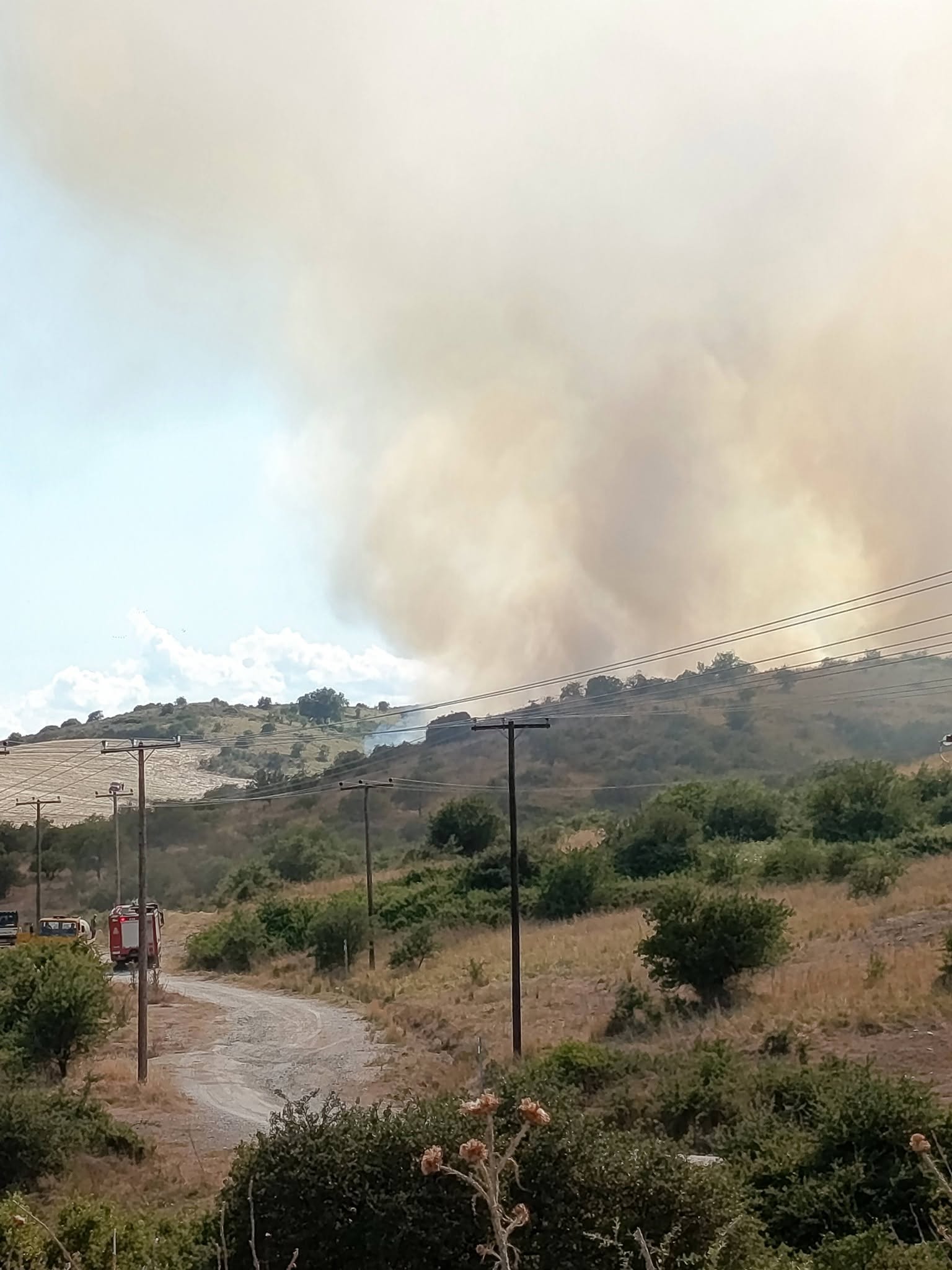Υπό μερικό έλεγχο μετά από πολύωρη μάχη η πυρκαγιά στον Αργυρόμυλο Λάρισας (ΦΩΤΟ+video)