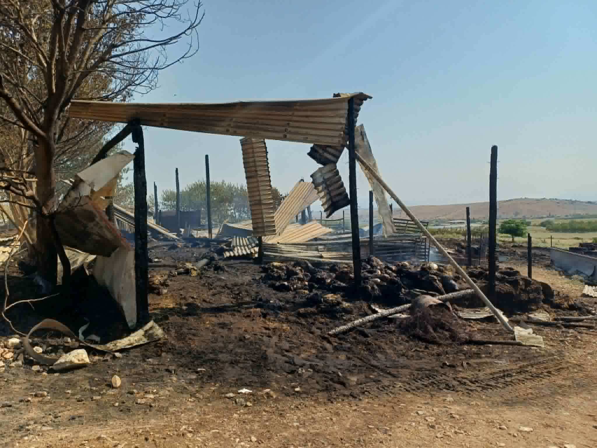 Στάχτη 70 αμνοερίφια, ζωοτροφές και το μαντρί κτηνοτρόφου στο Λουτρό Λάρισας- σκληρές εικόνες